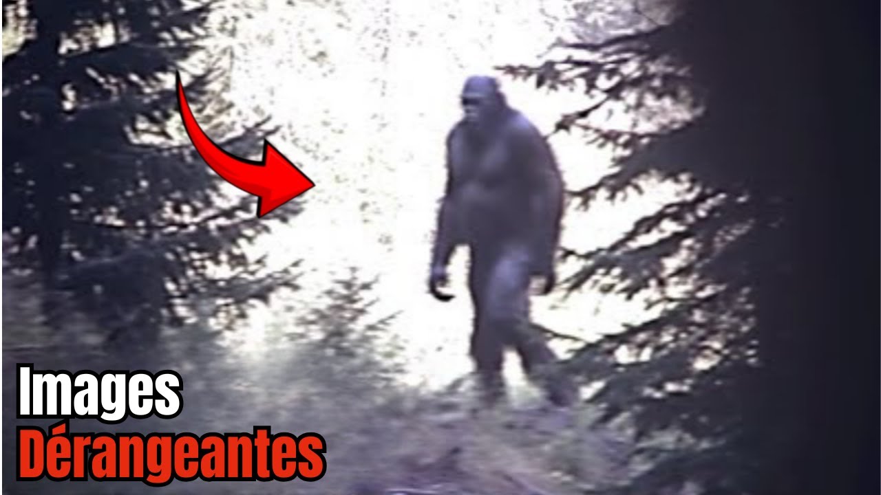Les images de cam&eacute;ra de chasse les plus TROUBLANTES jamais captur&eacute;es