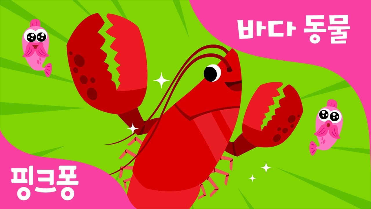 바닷가재 | 튼튼한 집게발 가재! | 바다 동물 | 동물동요 | 핑크퐁! 인기동요