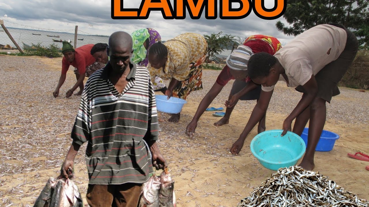 Welcome to Lambu fishing site 