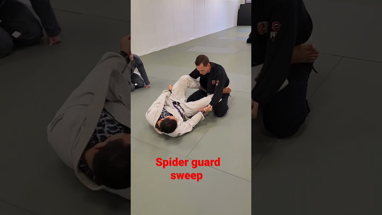 BJJ Spider guard sweep