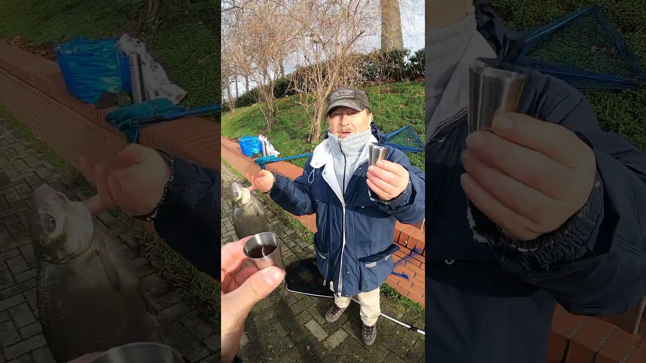 ЛЕЩ 376 #fishing #рыбалка #angeln #p&ecirc;che #釣魚