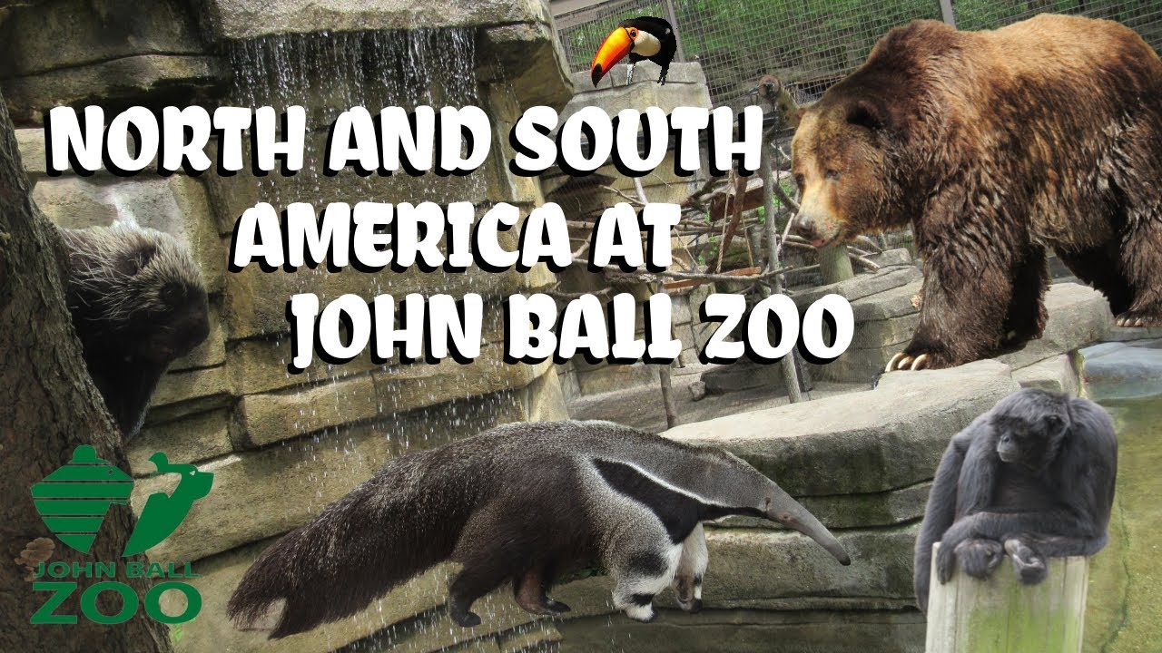 North and South America at John Ball Zoo | Exhibit Tours Ep. 4