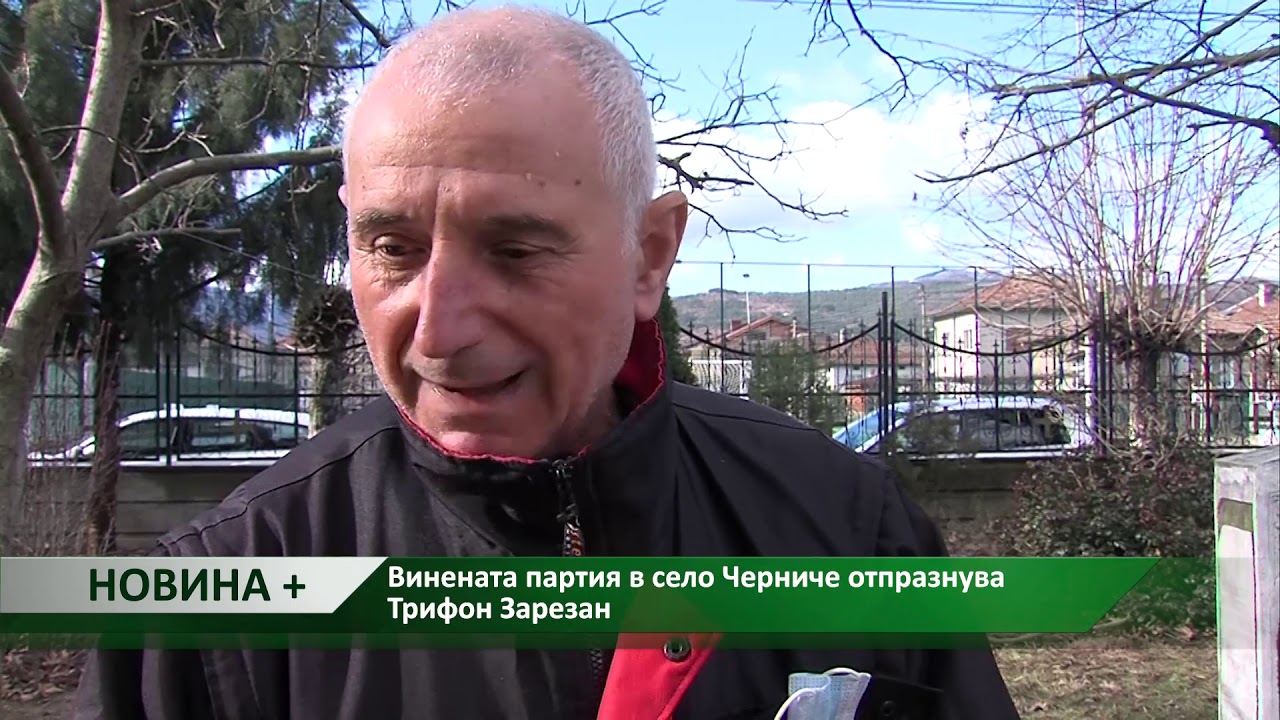 Новина плюс: Винената партия в село Черниче отпразнува Трифон Зарезан, автор: Светлин Кърпачев