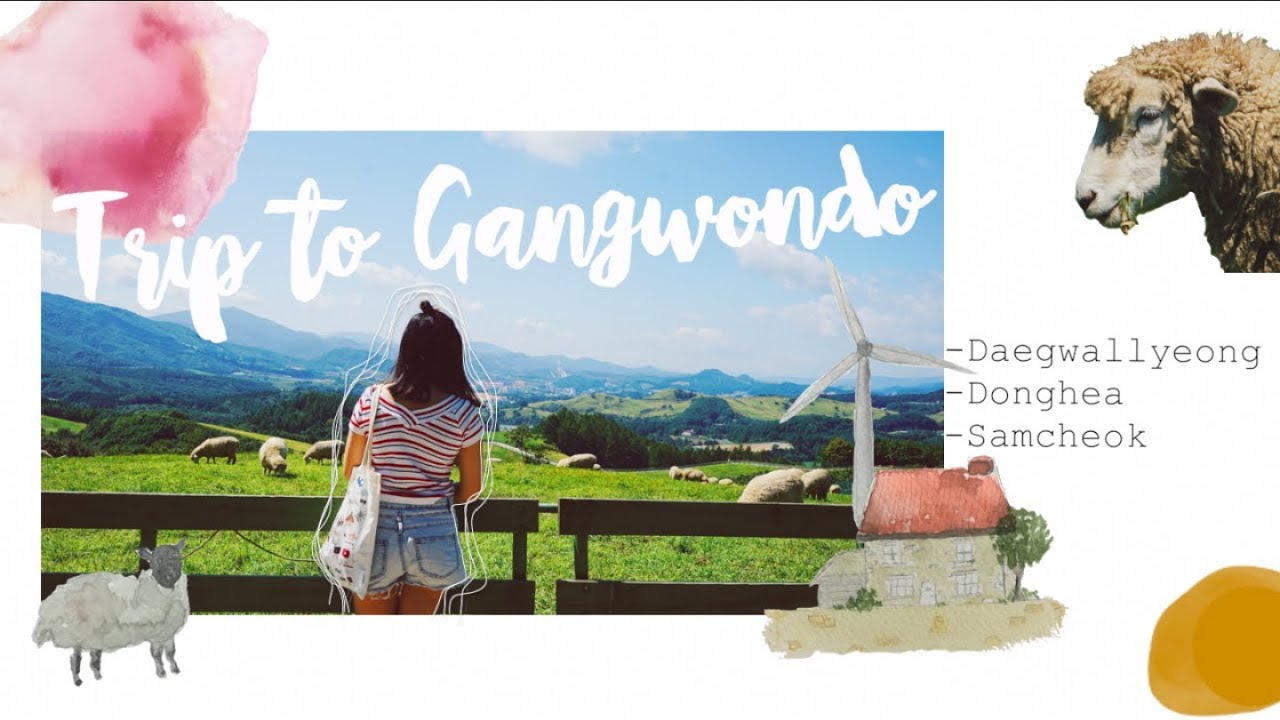 (#不去首爾)🇰🇷韓國江原道 | 東海三陟即興之旅(上)🌴大關嶺牧場喂肥羊🐑