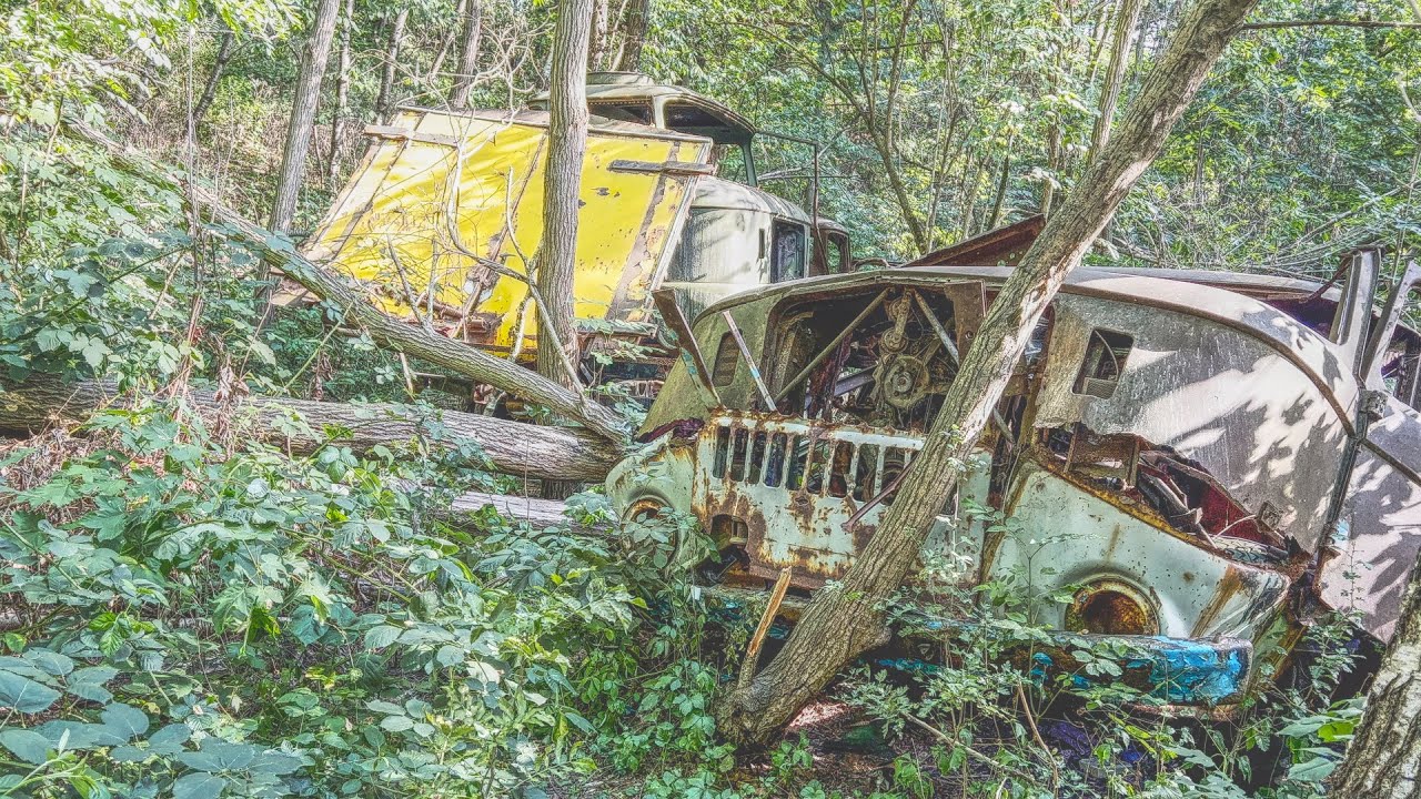 Zwei W50 und ein Robur mitten im Wald gefunden, FK in Gefahr