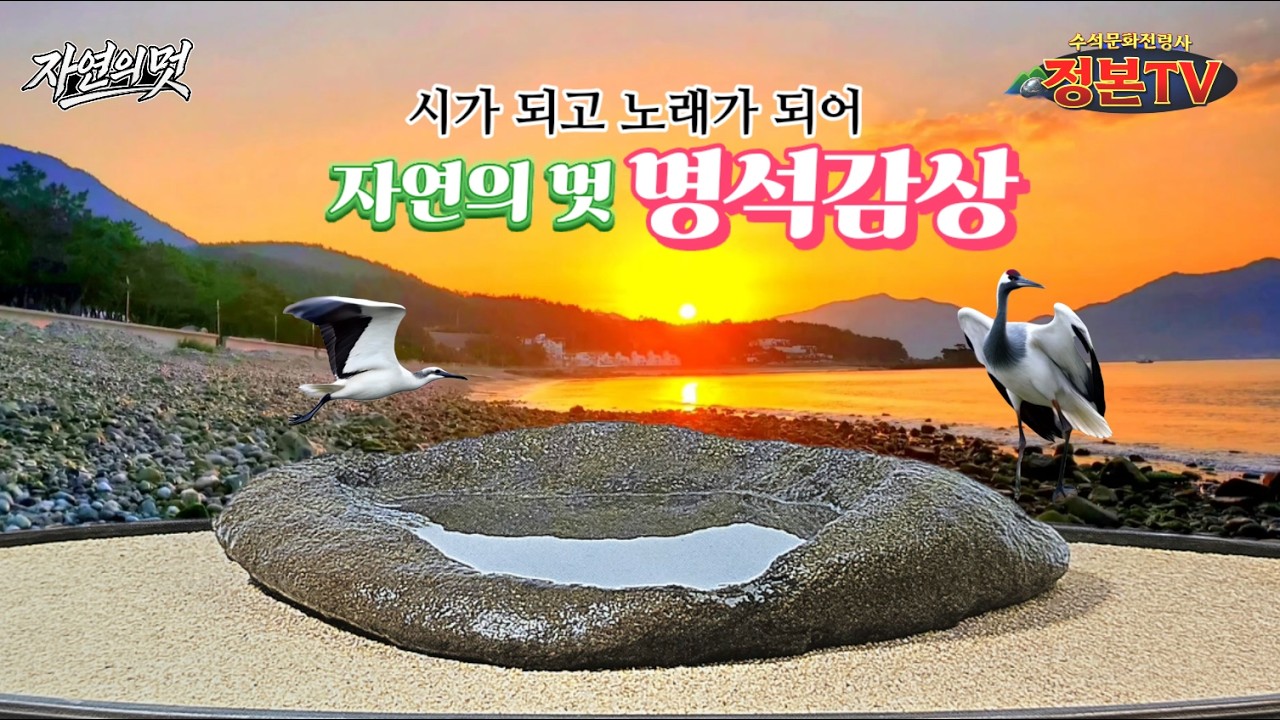 752. 자연의 멋 명석감상 #rock #stone #art #nature #정본tv