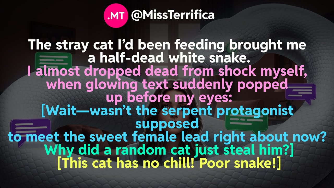 Бродячая кошка, которую я подкармливал, принесла мне полумертвую белую змею...