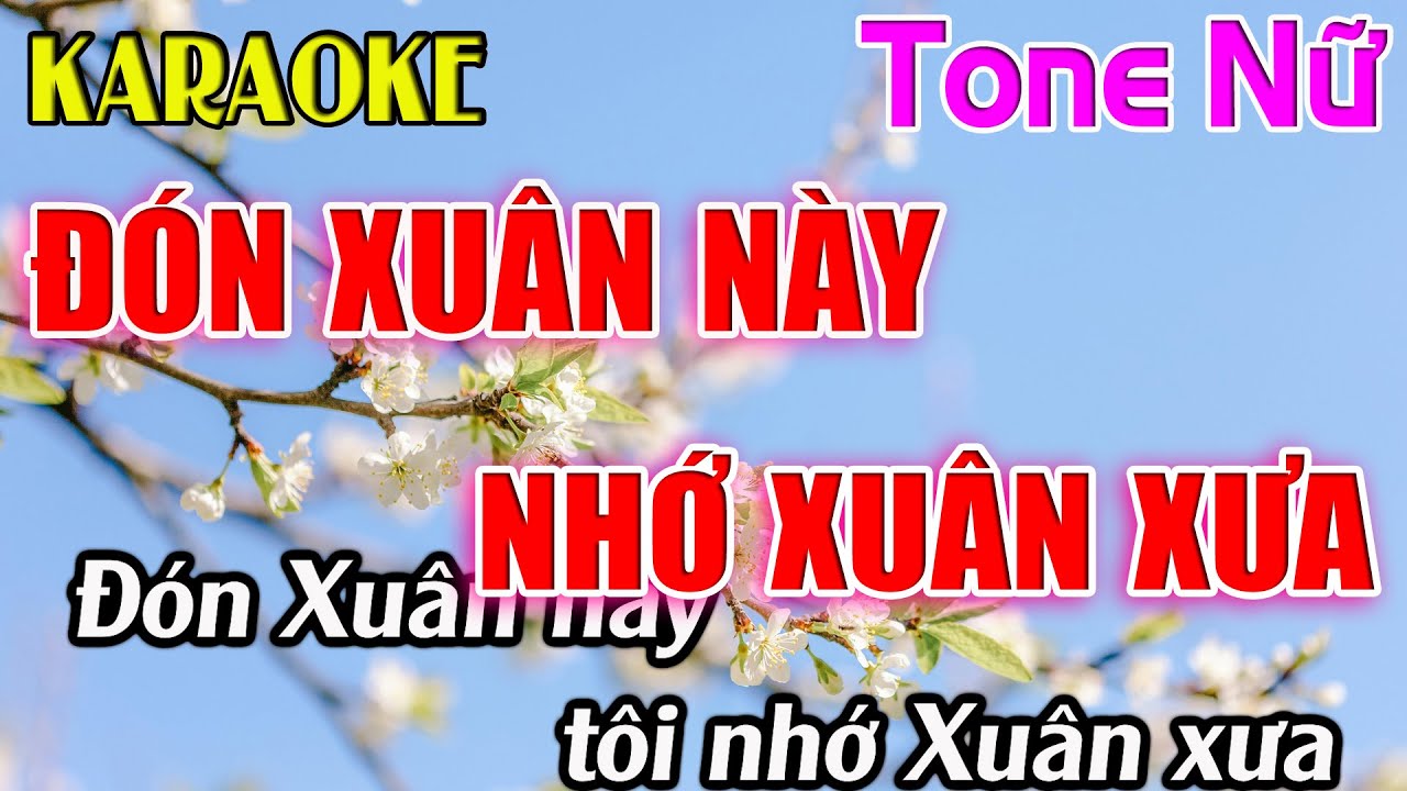 Đón Xuân Này Nhớ Xuân Xưa Karaoke Tone Nữ ( Cm ) Karaoke Dễ Hát - Beat Mới