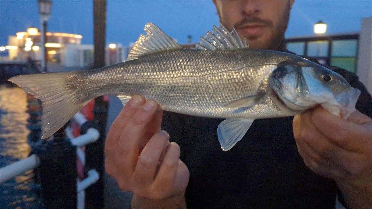 Bass Fishing Off Worthing Pier with a 0.2-6g LRF Rod