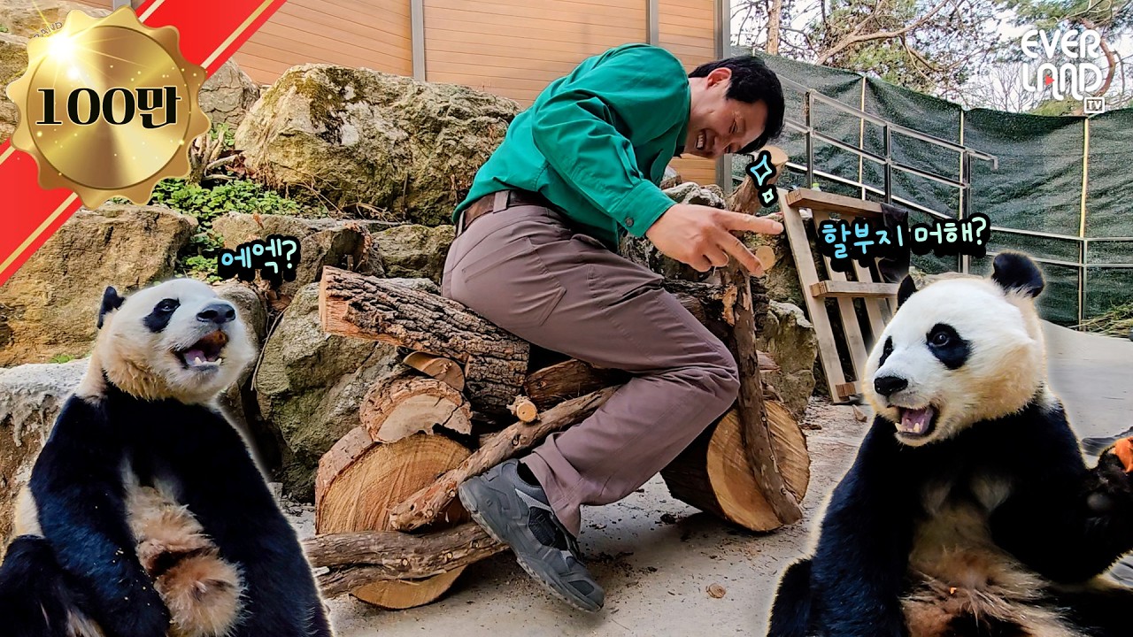 툥가이버의 귀환 (Feat.바오토바이🏍️)｜#판다와쏭 #248