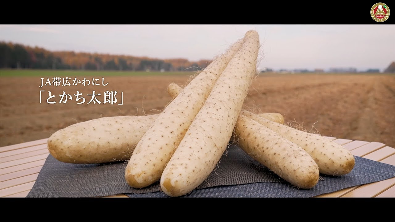 日本のながいもが届くまで From 帯広市川西農業協同組合