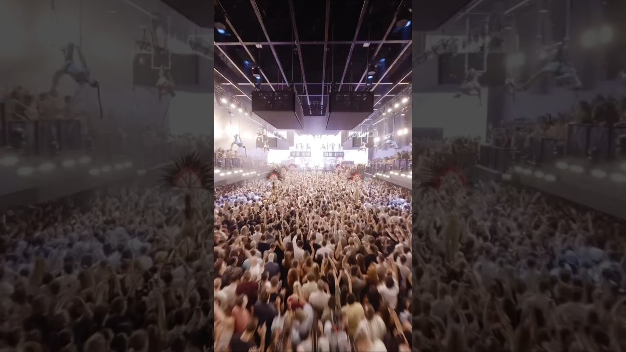 David Guetta 