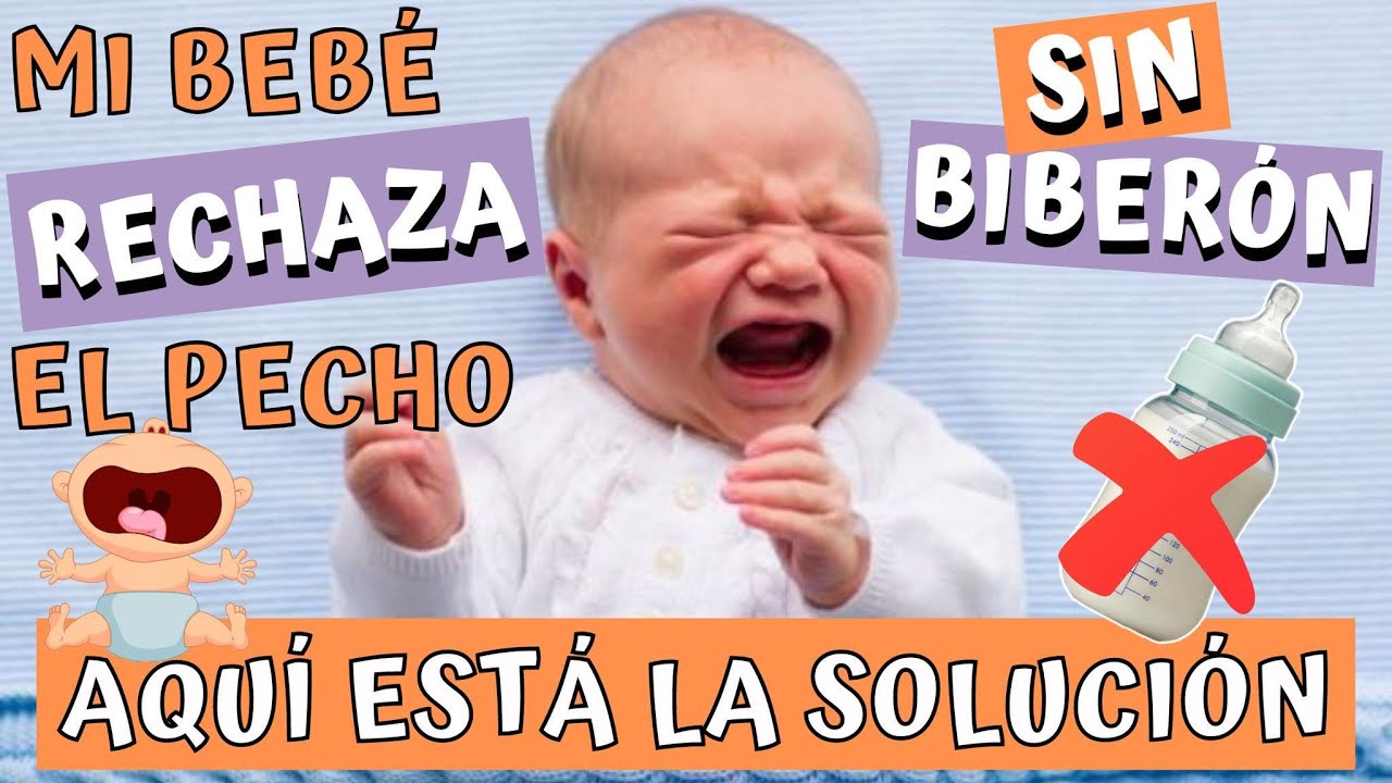 🤱🍼MI BEBÉ RECHAZA EL PECHO.  ¿CÓMO LO ALIMENTO❓❓