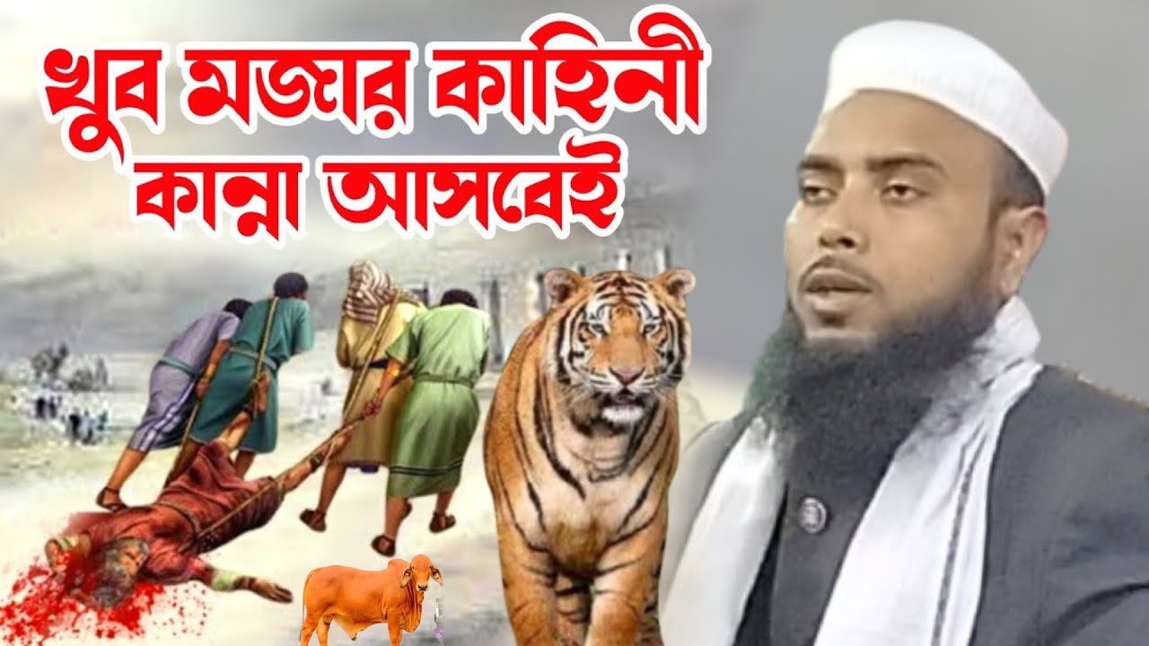 Maulana Anamul Haque Saheb || Anamul Haque New Waz 2024 || ar islamic media