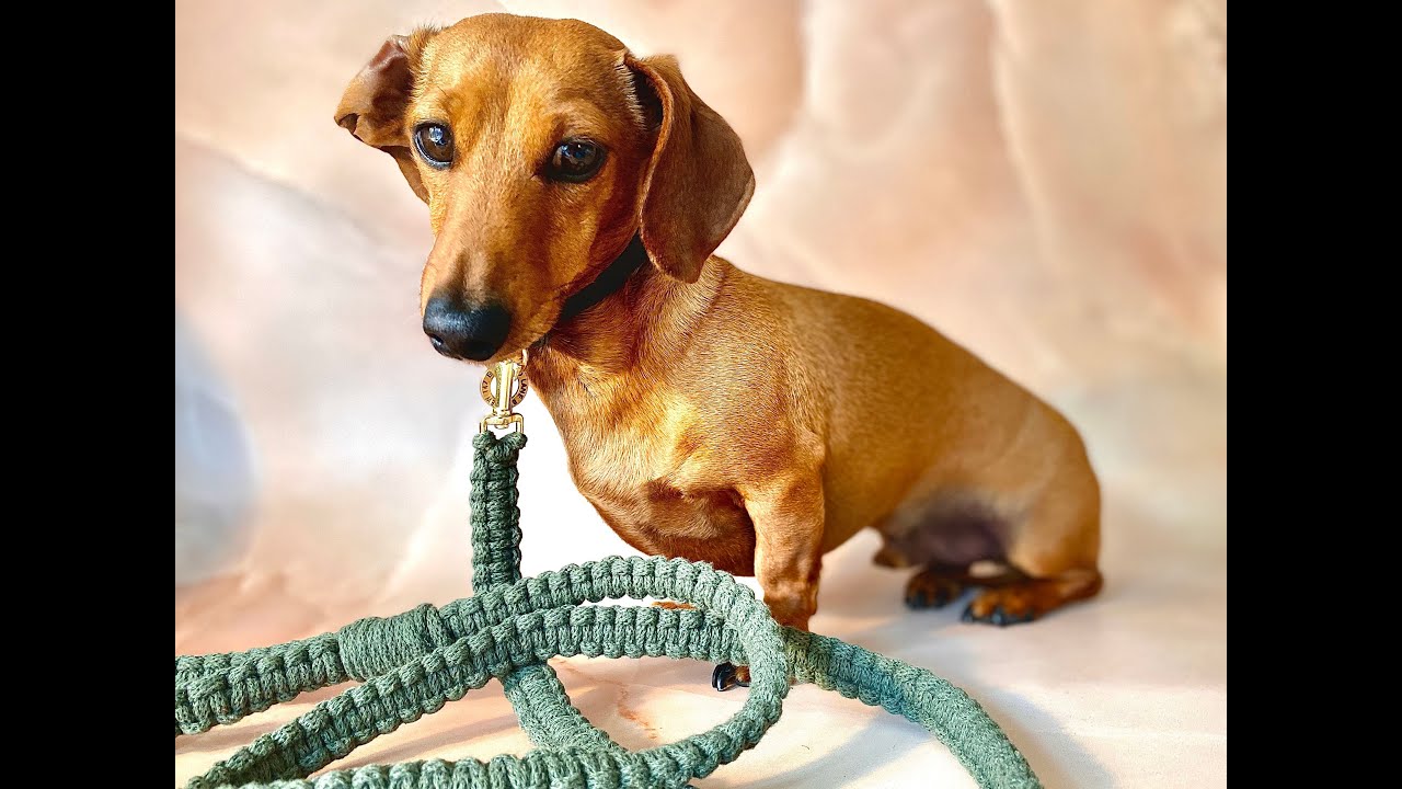 Macramé Dog Lead Video Tutorial