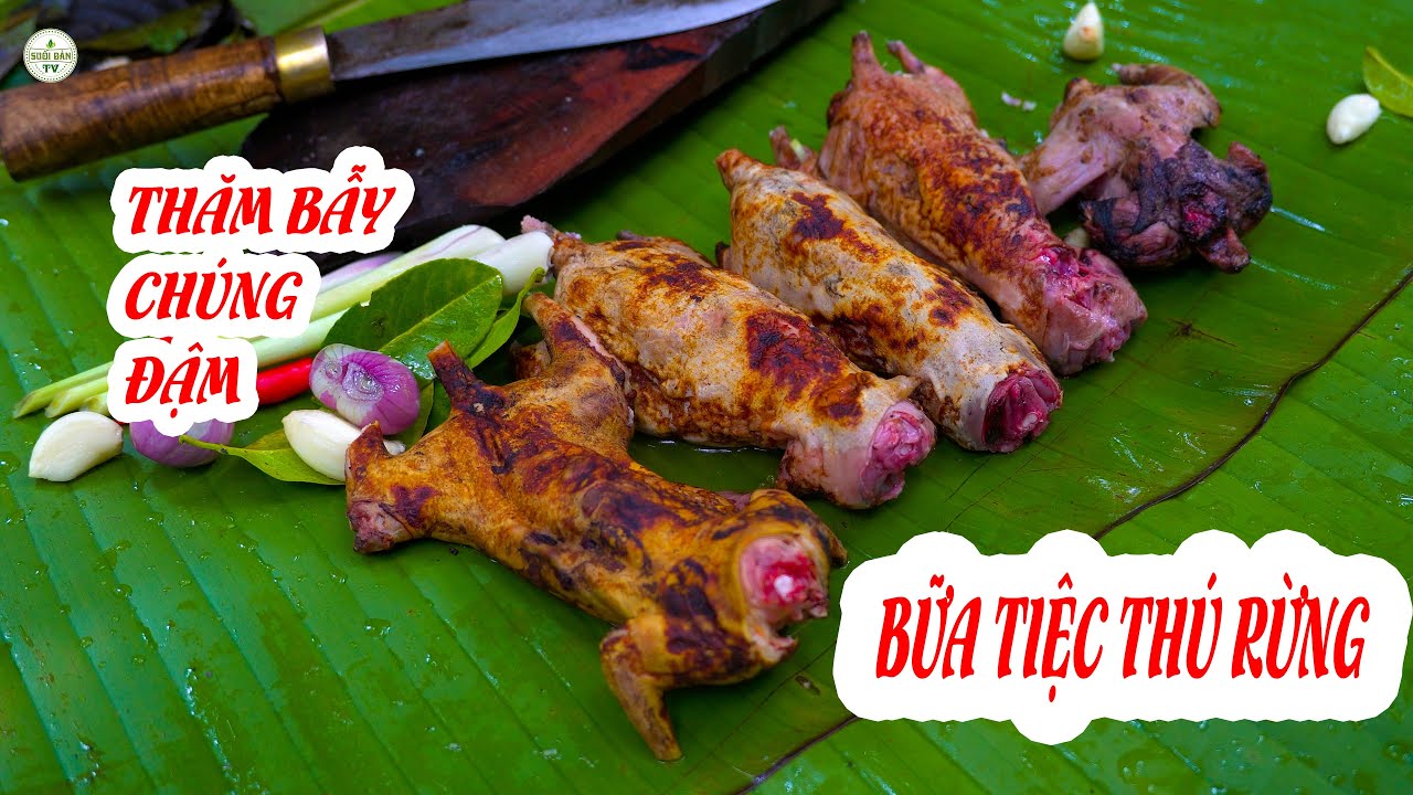Thăm Bẫy Buổi Sớm Chúng Đậm - Toàn Đồ Ngon ✧ Suối Bản TV