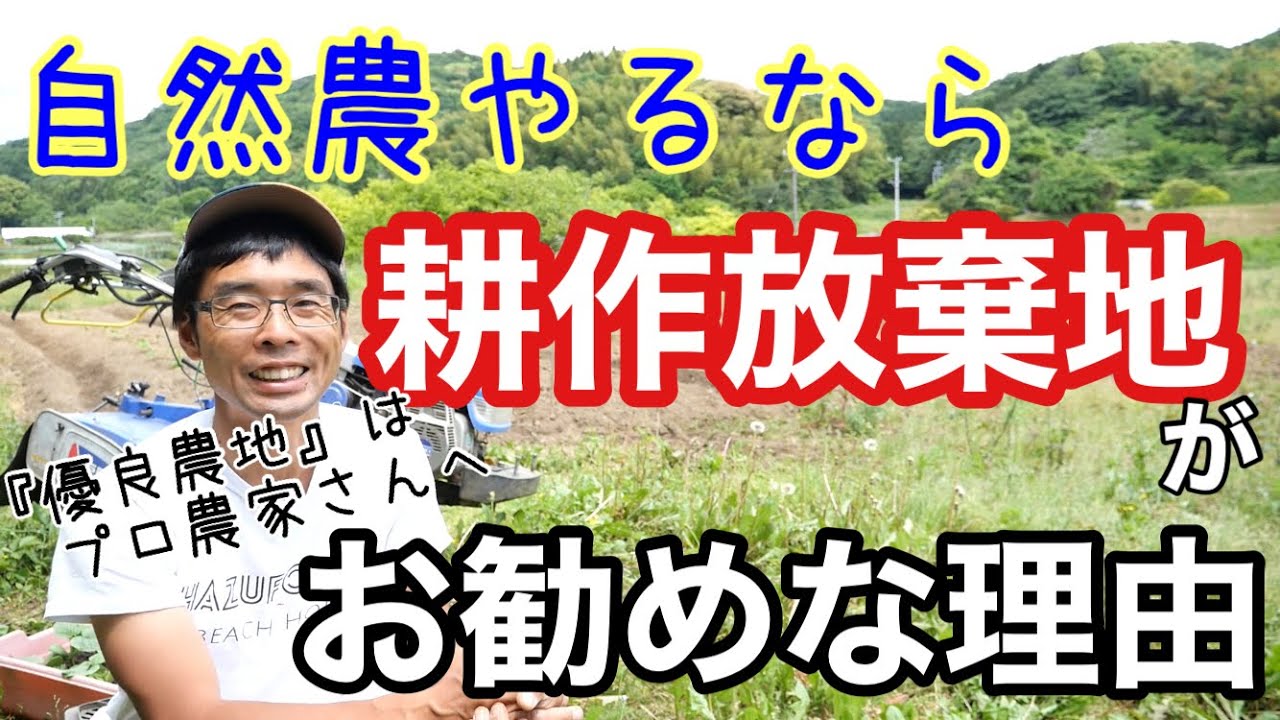 食糧危機に備えて耕作放棄地で自然農・自給農をやる【農地の話】2022年5月11日