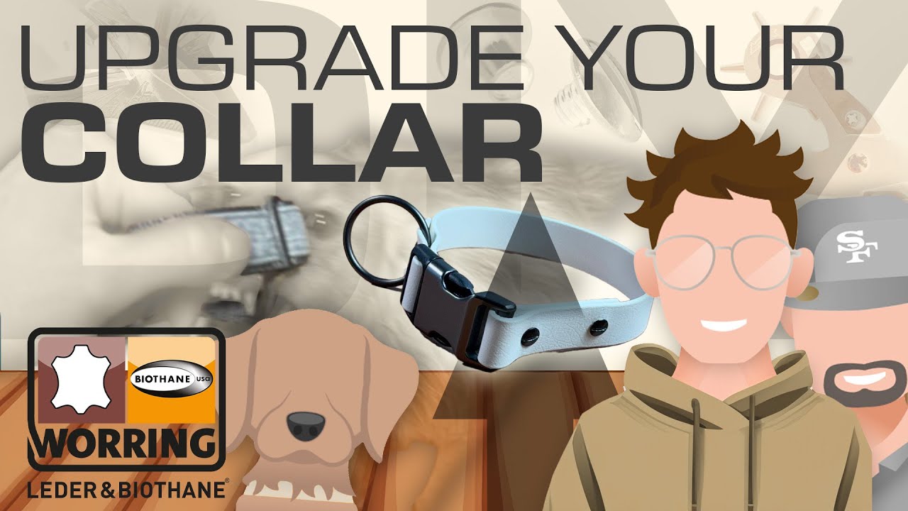 How to UPGRADE YOUR Dog Collar to a BIOTHANE COLLAR 🐶💡 | DIY 🛠️