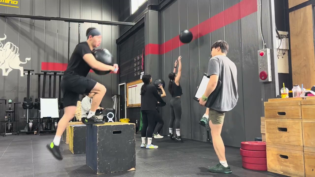 릉비니 오픈 26.1