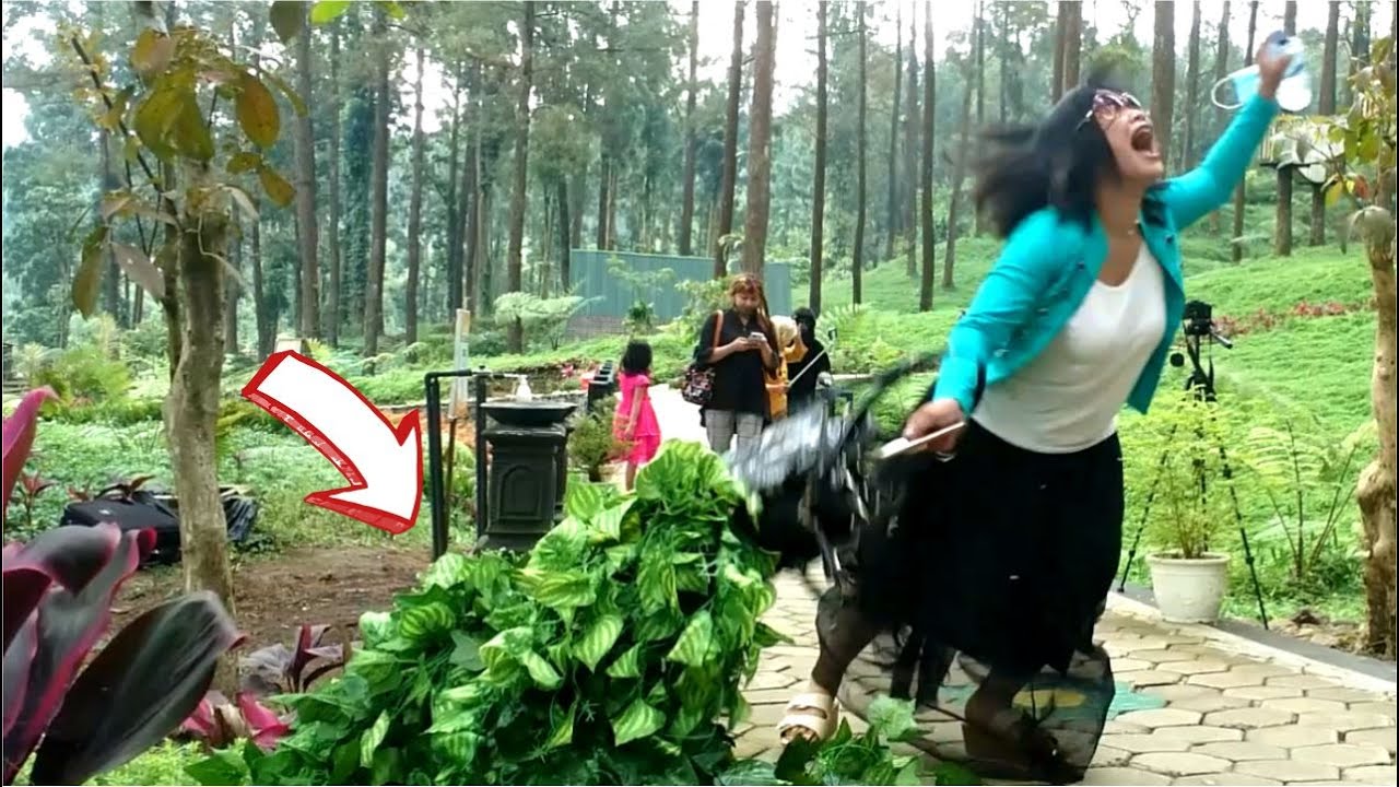 Double Prank Epic Moment || Bushman & Monkey Prank