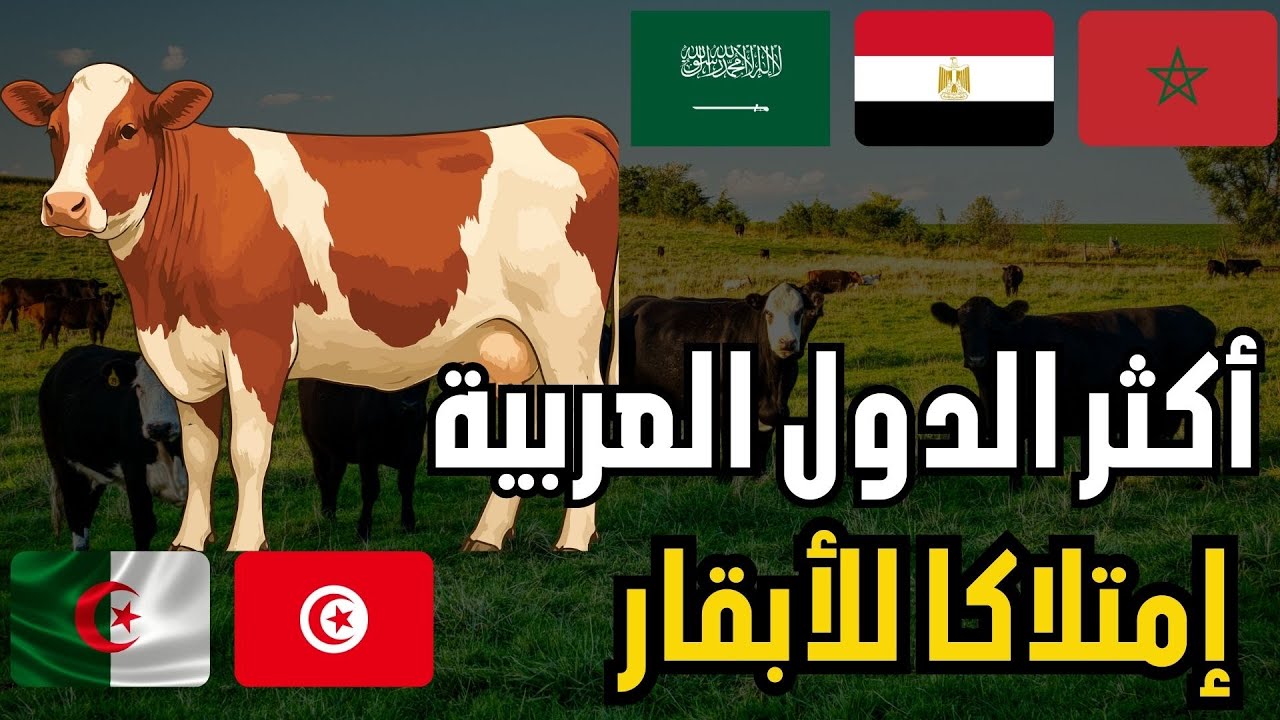 ترتيب الدول العربية بثروتها الحيوانية سيفاجئك🐄 | أكثر الدول العربية امتلاكًا للأبقار