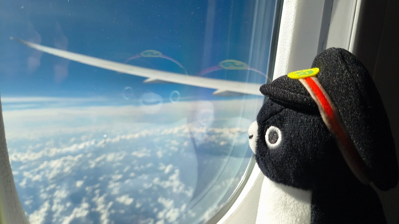 Flying to Japan | Tokyo 2025 | Eeveeemmy