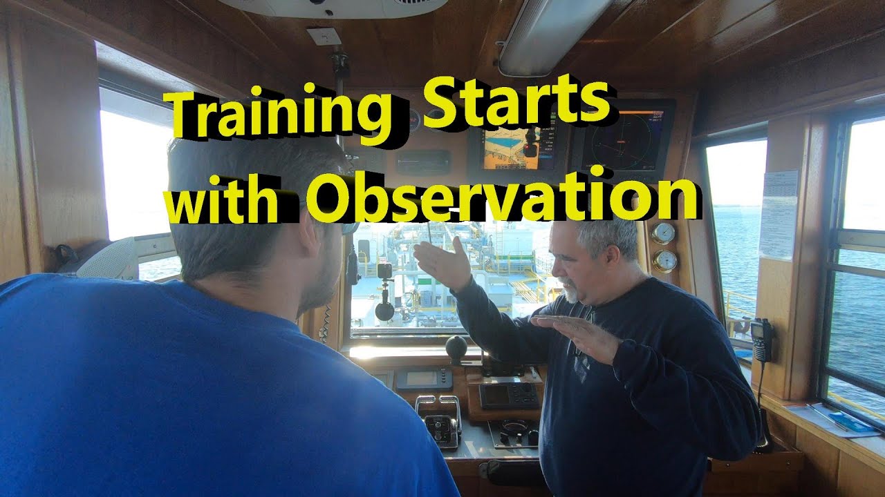 Training Starts with Observation