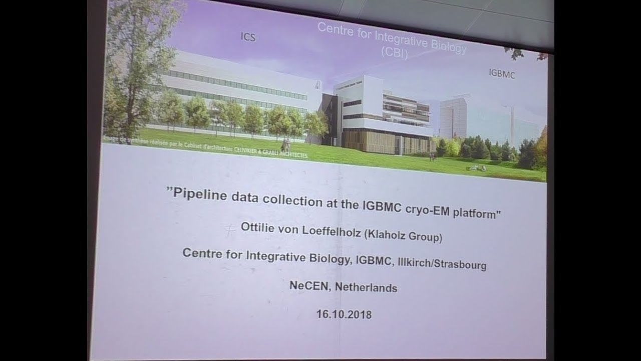 Pipeline data collection at the IGBMC cryo-EM platform (Ottilie von Loeffelholz)