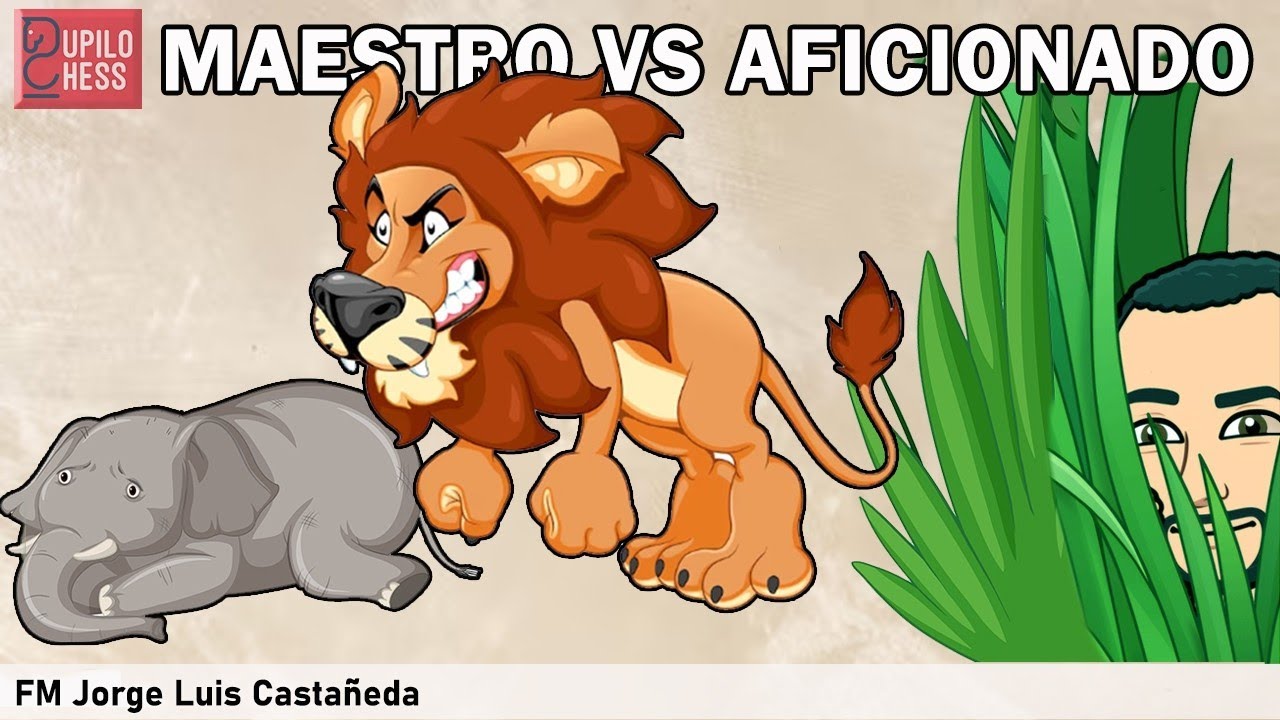 Maestro vs Aficionado: Para ganar hay que ATACAR! Siempre busca jugadas de ATAQUE!!