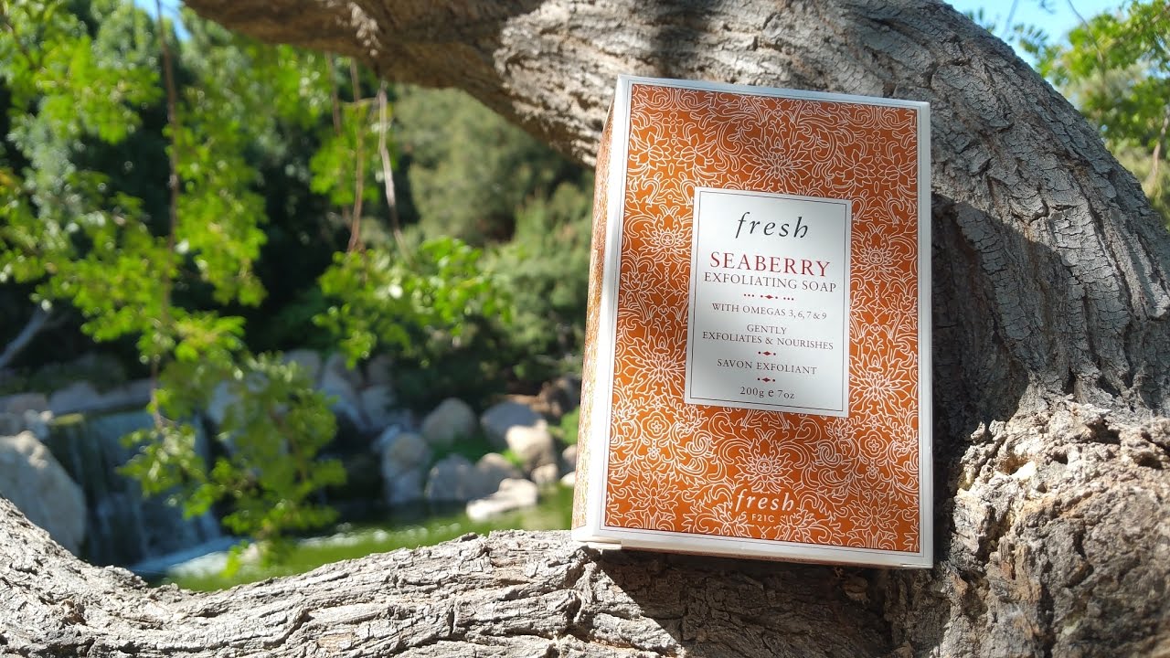 Fresh Seaberry Exfoliating body bar review
