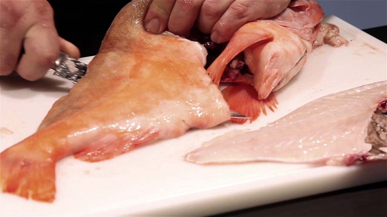 F. Dick Schnittbuch: Rotbarsch / Red Snapper