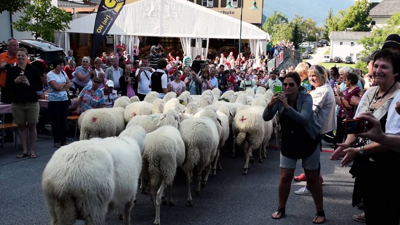 Almabtriebsfest Haimingerberg