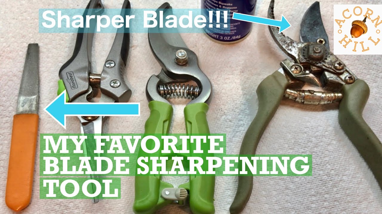THIS CHEAP SHARPENING TOOL DOES THE JOB WELL.Garden Tool. How I Sharpen My Pruners Secateurs