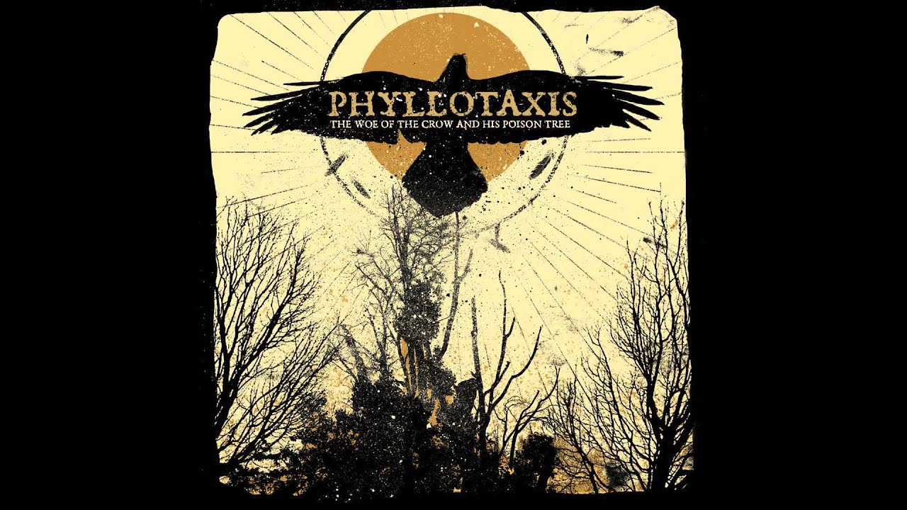 Phyllotaxis - Colostrum