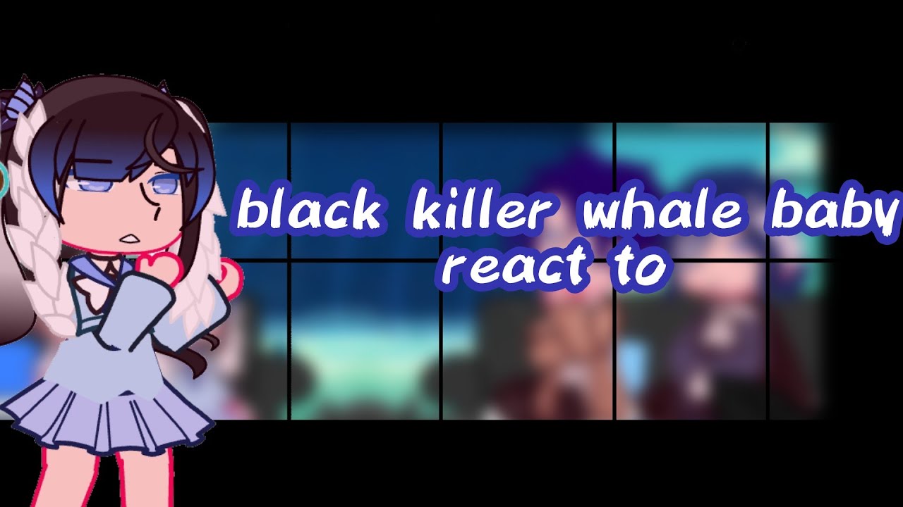 black killer baby whale react to|READ WARNING