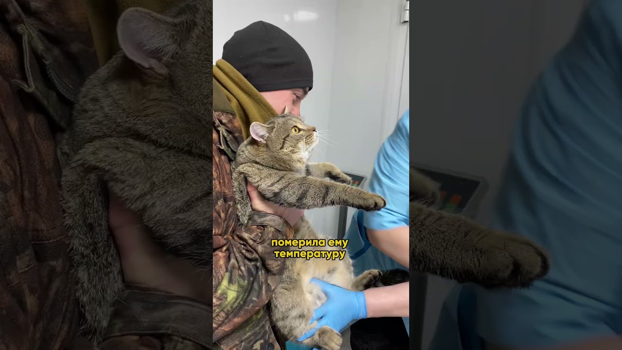 Обычно Кошмак чуть ли не гвозди переваривает!