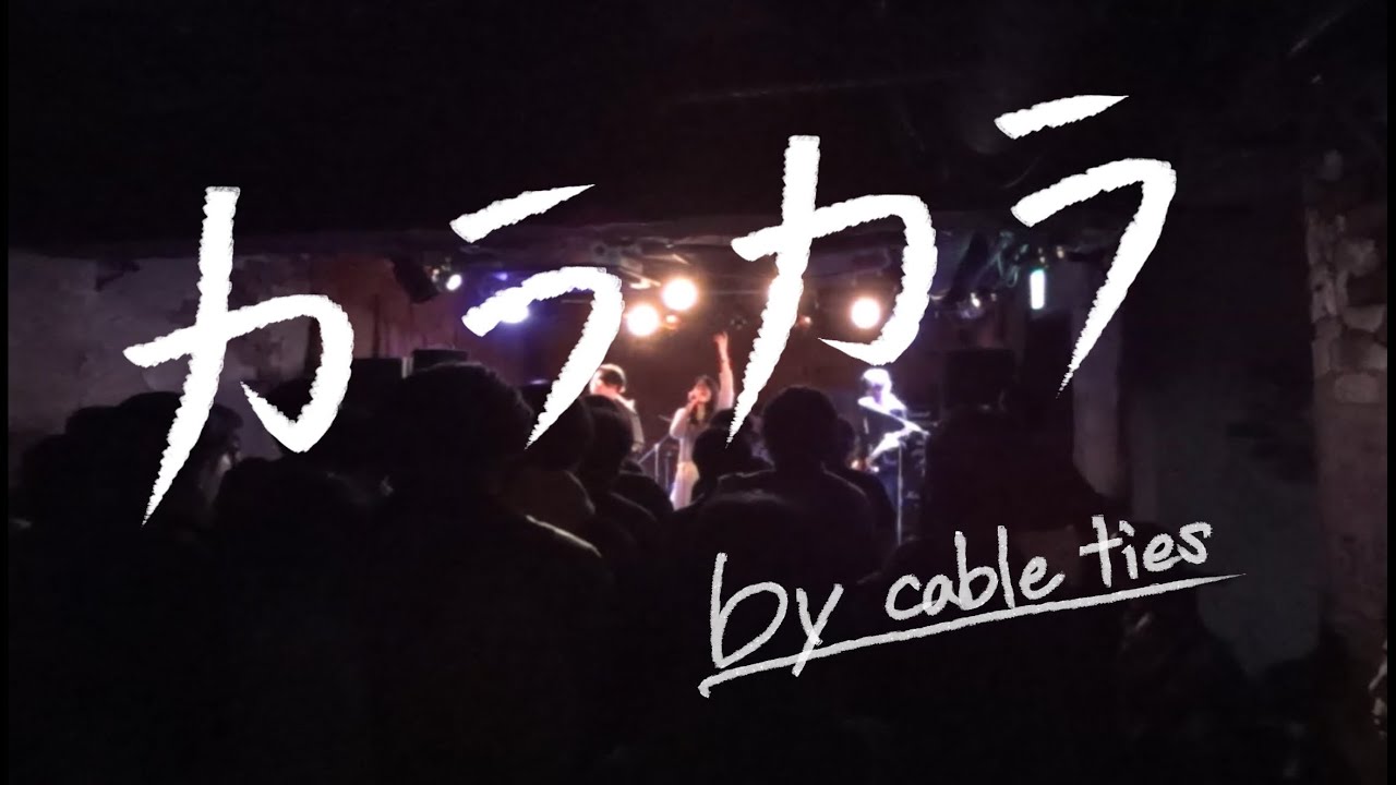 カラカラ/結束バンド by cable ties