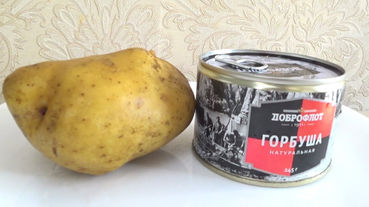 1 Банка КОНСЕРВЫ+ Две КАРОТОШКИ !Все ОБАЛДЕЛИ кода попробовали! ПРОСТО,ДЕШЕВО ,ВКУСНО!