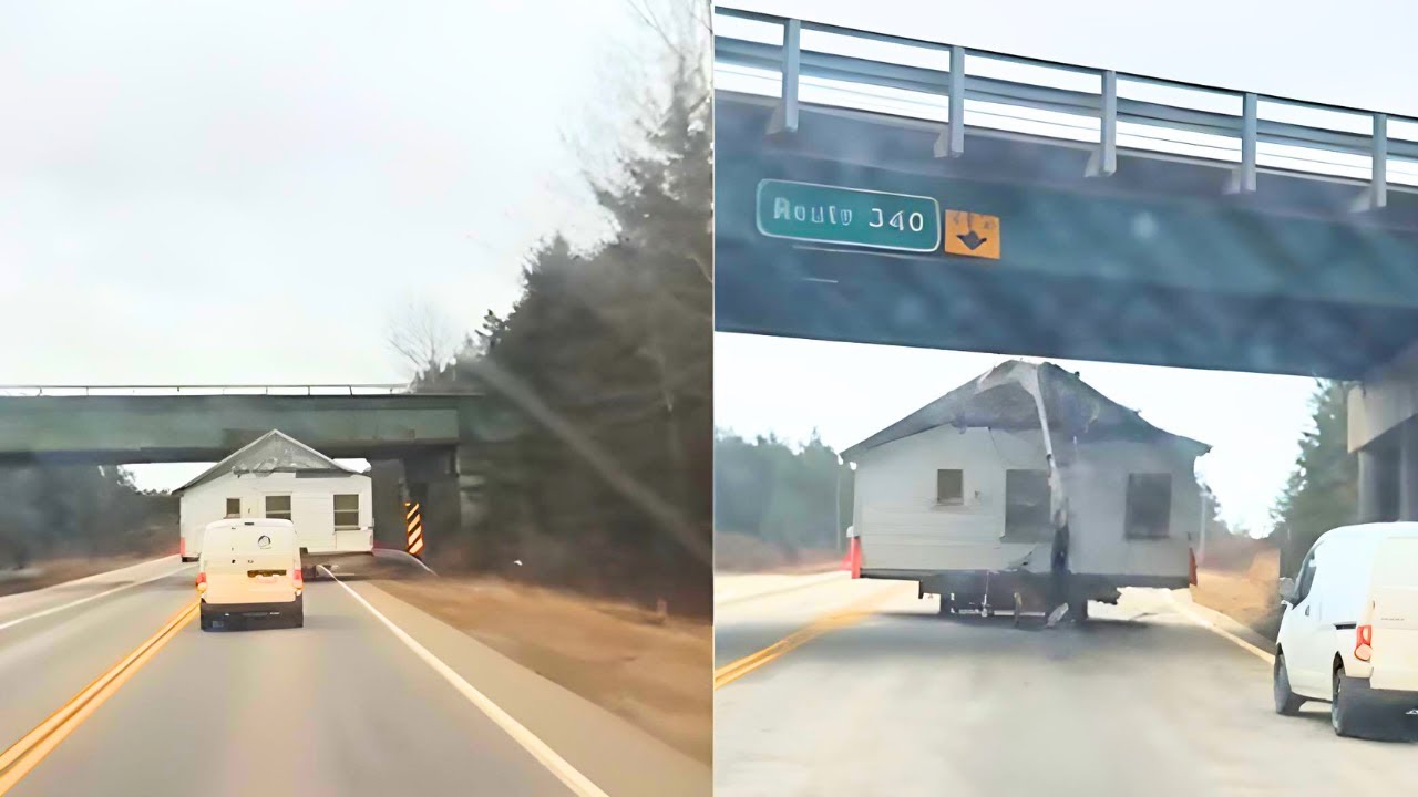IDIOTS IN CARS 