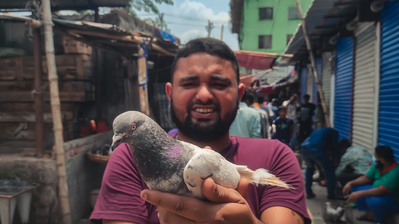 আমার কবুতর হাটে বিক্রি হচ্ছে