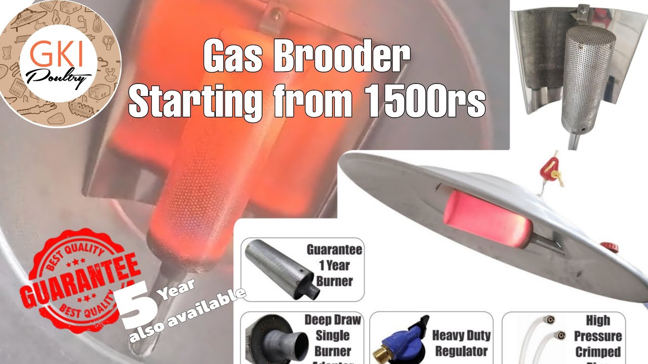 गैस ब्रूडर कैसे install करें?BROODER INSTALLATION VIDEO Price start from 1500rs call now 9512409617