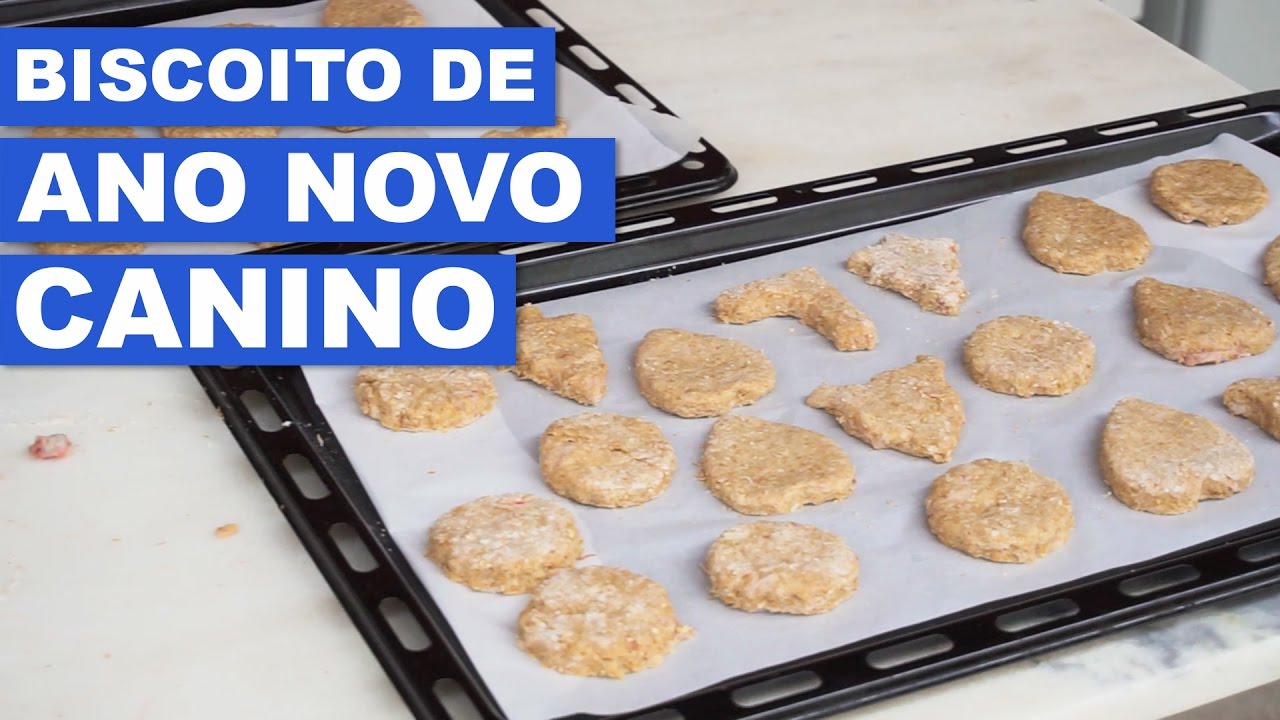Biscoito para cachorro - ft. Cozinha do bom gosto
