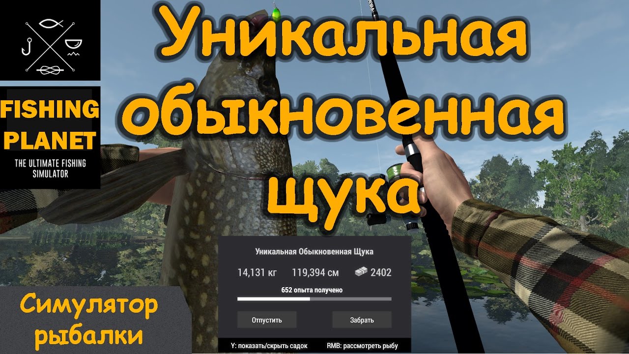 Fishing Planet 0.7.3 # Уникальная обыкновенная щука на озере Сент-Круа, Мичиган на воблер