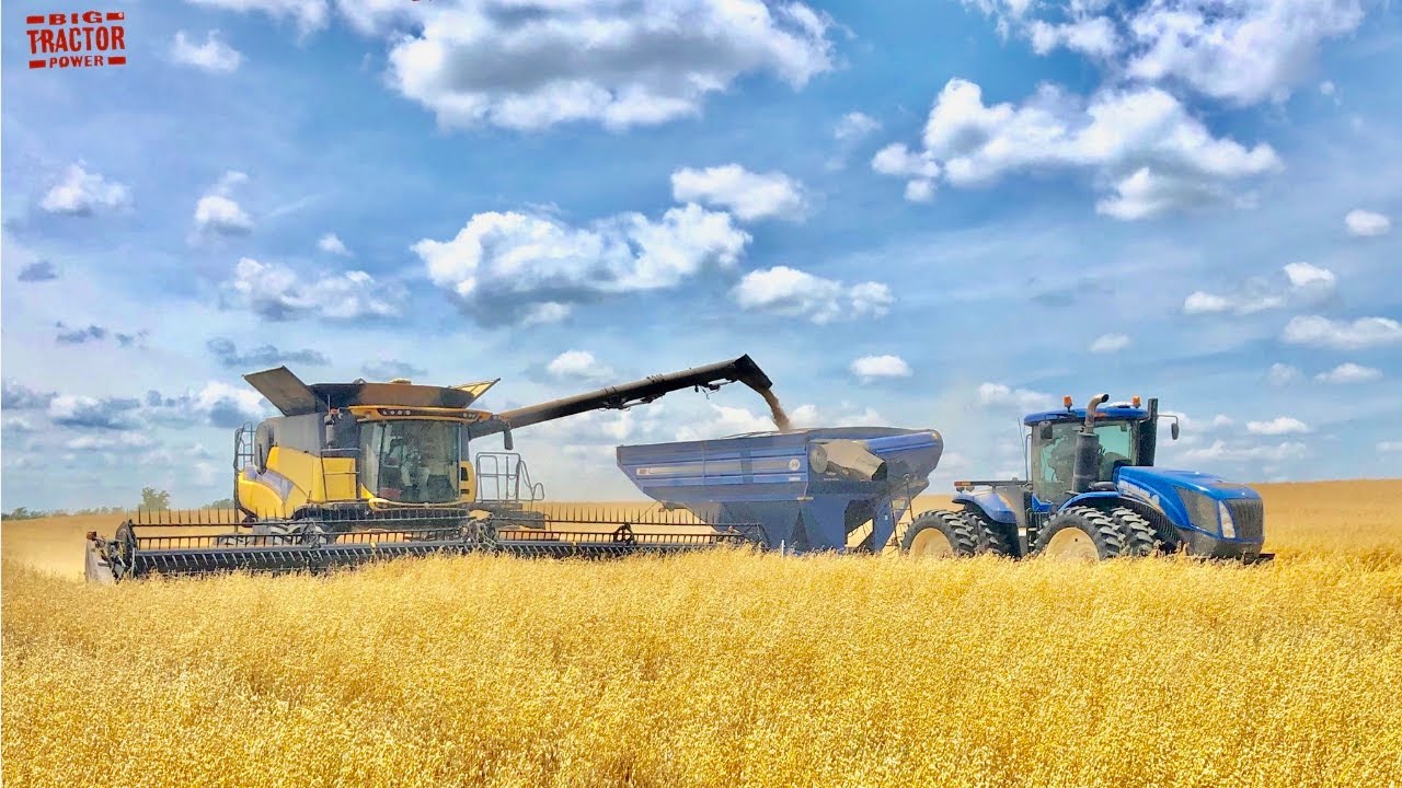 OAT HARVEST  New Holland CR8.90 Combines