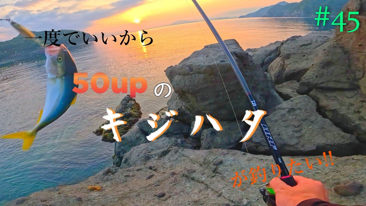 【夏の終わりの、アコウ狙い】一度でいいから50upのキジハタが釣りたい!!#45【ロックフィッシュ】