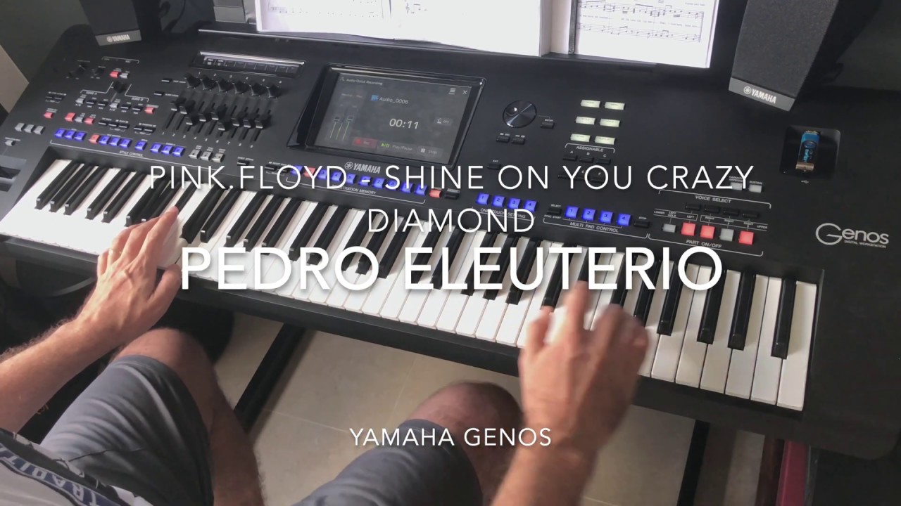 Shine on You Crazy Diamond (Pink Floyd) cover played live by Pedro Eleuterio with Yamaha Genos