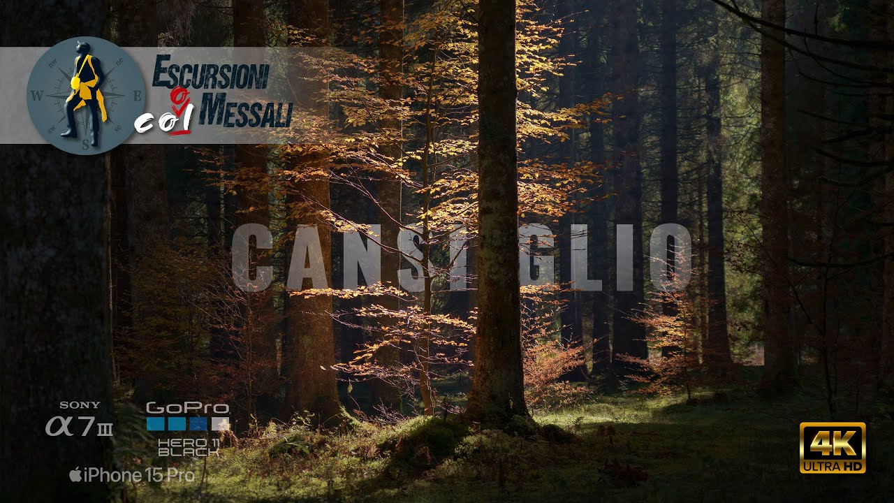 Foresta del Cansiglio - Dal Passo Crosetta a Monte Pizzoc