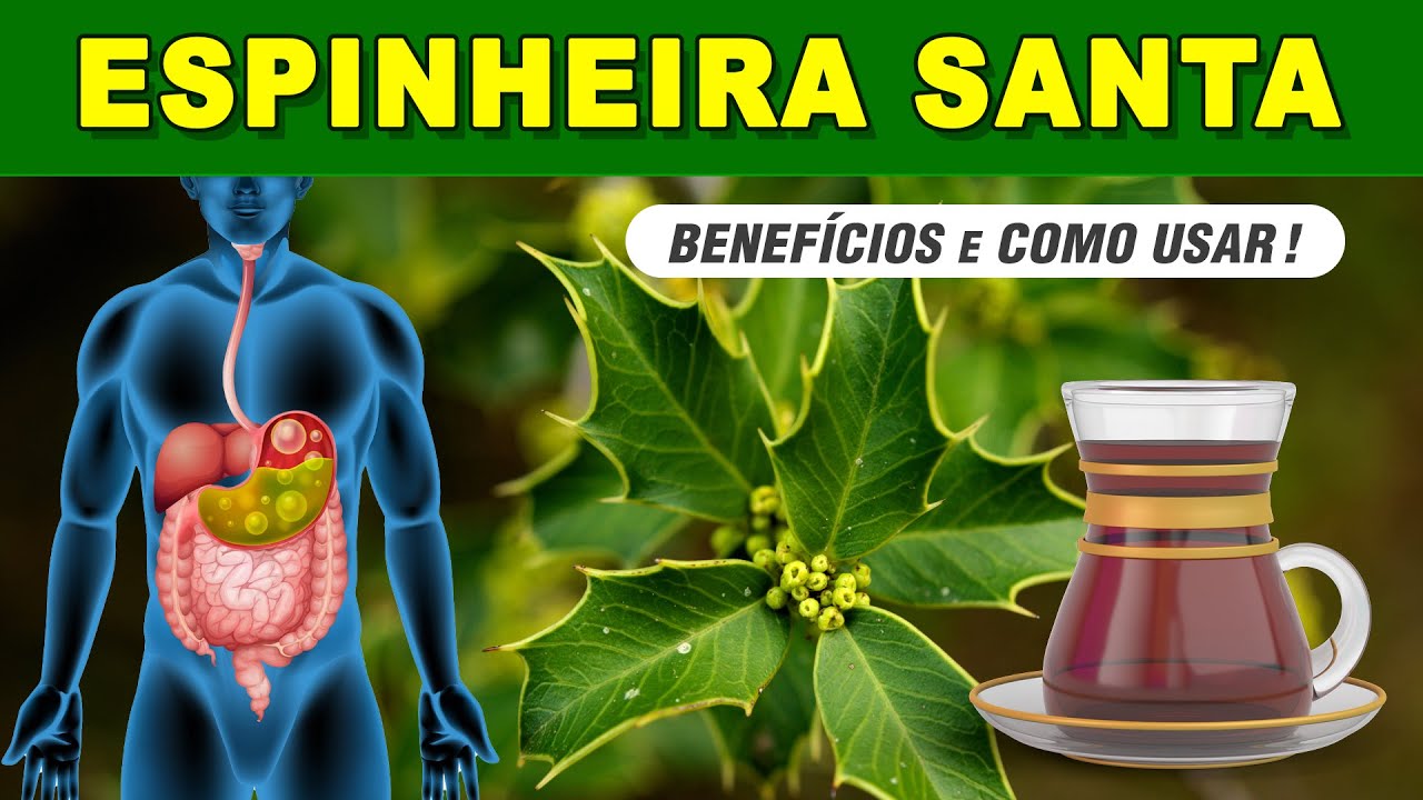Benef&iacute;cios do CH&Aacute; DE ESPINHEIRA SANTA - Como Fazer e Tomar! (Azia, M&aacute; Digest&atilde;o, Desinchar,...)