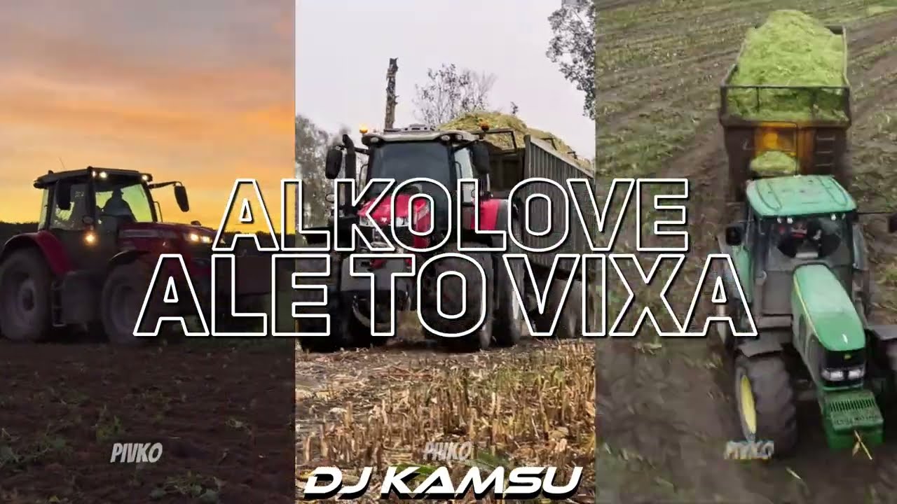 ALKOLOVE ALE TO VIXA (DJ KAMSU MASH)