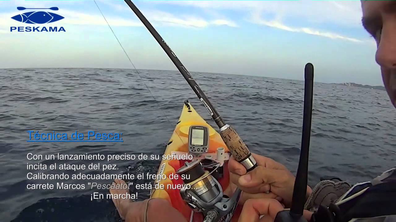 Bacoretas desde Kayak